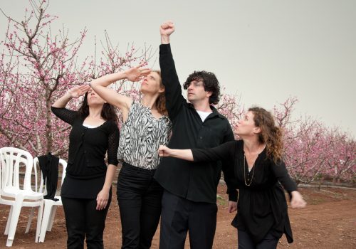 Copy of פלייגו-קטן_68